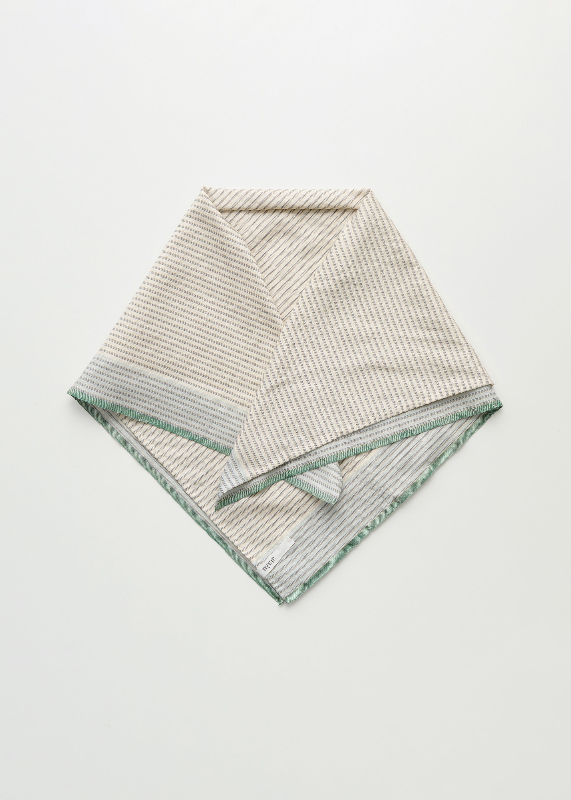 Megha scarf – pure silk | Mix Mint Scarf aiayu