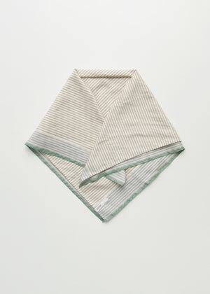 Megha scarf – silk | Mix Mint Scarf aiayu