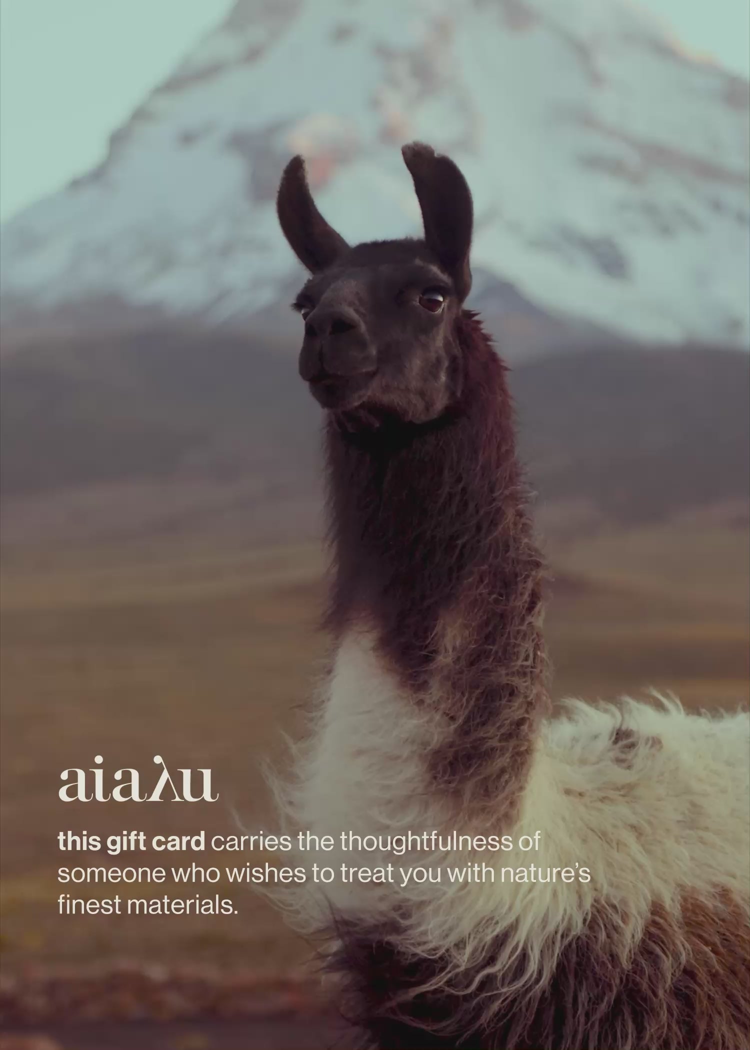 aiayu gift card Gift Option aiayu